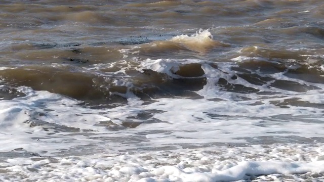 晴朗多风的一天，苏格兰海滩上的海浪视频素材