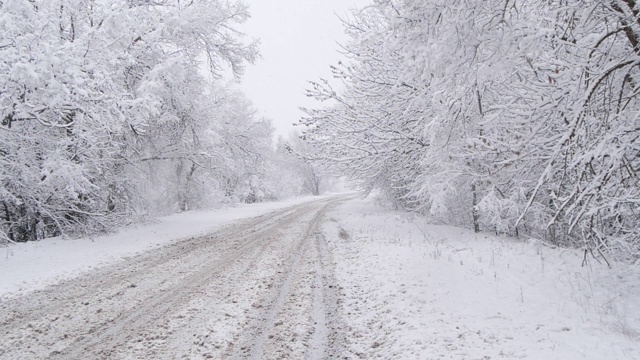 冬天森林里的慢镜头降雪视频素材