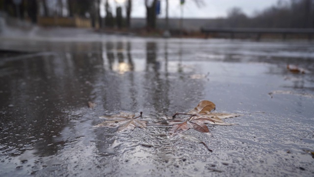 在秋天雨天，城市交通在潮湿的道路上行驶，汽车通过一个大水坑视频素材