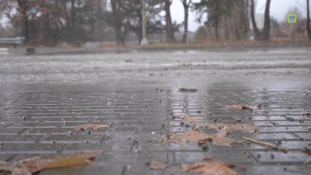 秋天的雨天，城市交通在潮湿的道路上行驶，汽车驶过一个车轮溅起水花的水坑。视频素材