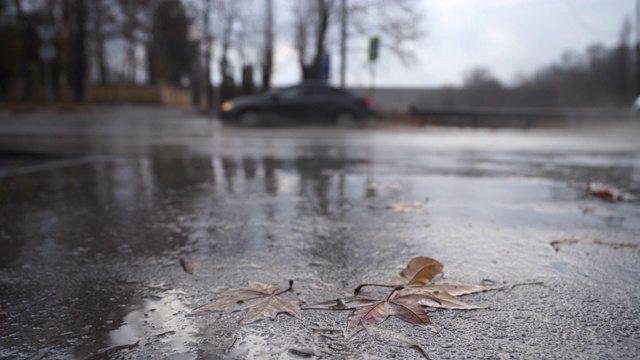 下雨天，落叶落在潮湿的沥青上。汽车开过水坑视频素材