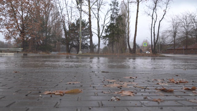 秋天的雨天，城市交通在潮湿的道路上行驶，汽车驶过一个车轮溅起水花的水坑。视频素材