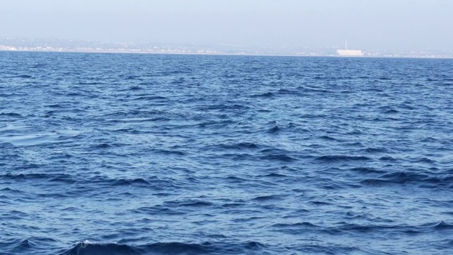 从灰鲸船在海洋中观赏鲸鱼之旅，美国加利福尼亚的海景。埃斯克里克修斯向南迁徙到太平洋沿岸冬季分娩的泻湖。海洋野生动物。视频素材