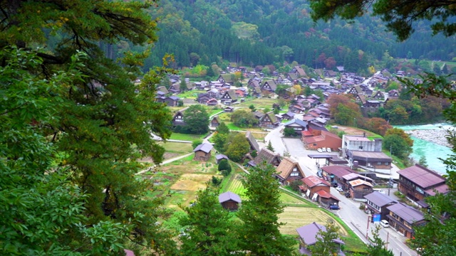 日本岐阜白川村秋日季节。白川宫是联合国教科文组织世界遗产和国家地标视频素材