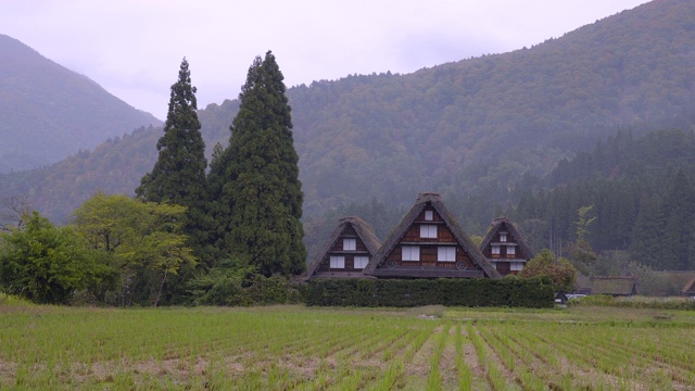 日本岐阜白川乡。白川宫是联合国教科文组织世界遗产和国家地标视频素材