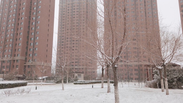 居住区下雪视频素材