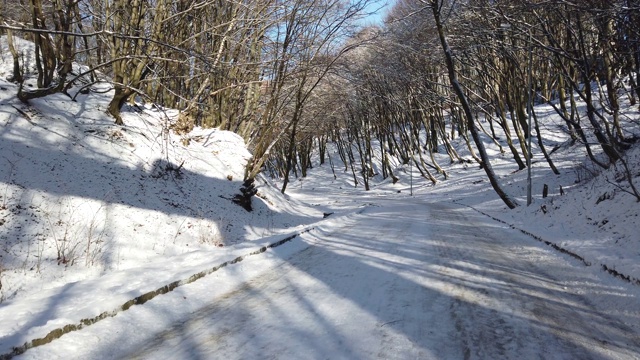 冬天的公园。雪和太阳。视频素材