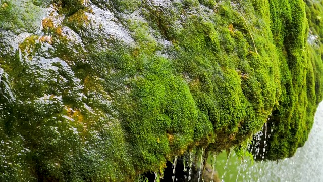 水中长满青苔的岩石，慢镜头下的白内障视频素材