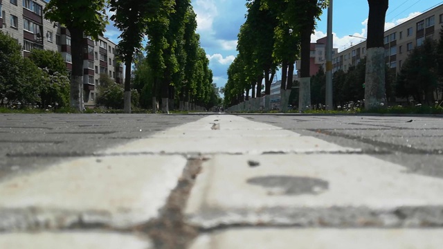 树巷和道路标志自行车道在夏季的人行道上，在白天的城镇。城市生活。低角度从下面拍摄视频素材