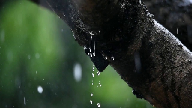 雨滴从顶上流下来视频素材