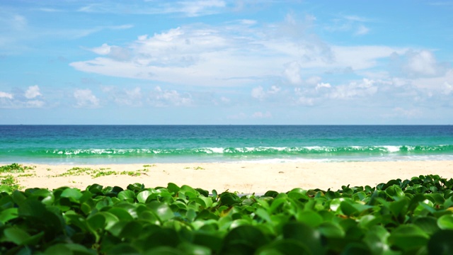 普吉岛海滩海，海滩海在夏天的阳光。在泰国普吉岛卡伦海滩，4K超高清视频剪辑。视频素材