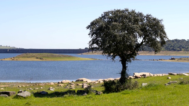 葡萄牙阿连特霍的Barragem do Caia大坝视频素材