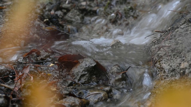 秋叶淙淙的流水声视频素材