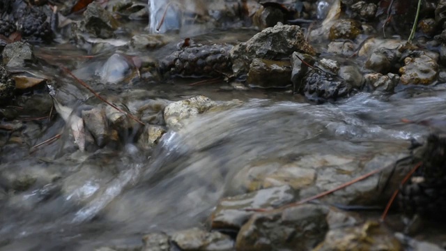 秋叶淙淙的流水声视频素材