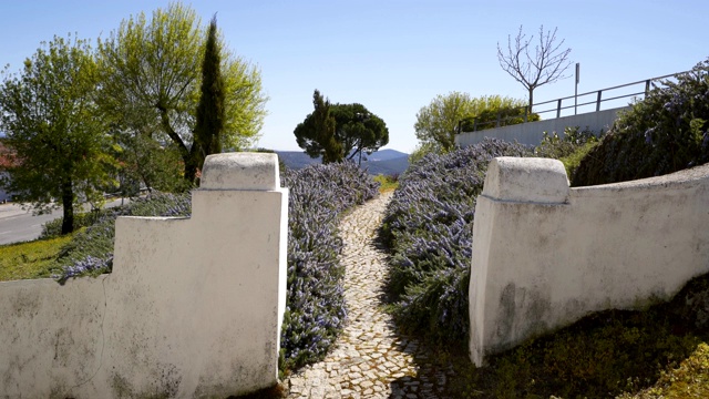 葡萄牙Alentejo Marvao村的花园视频素材