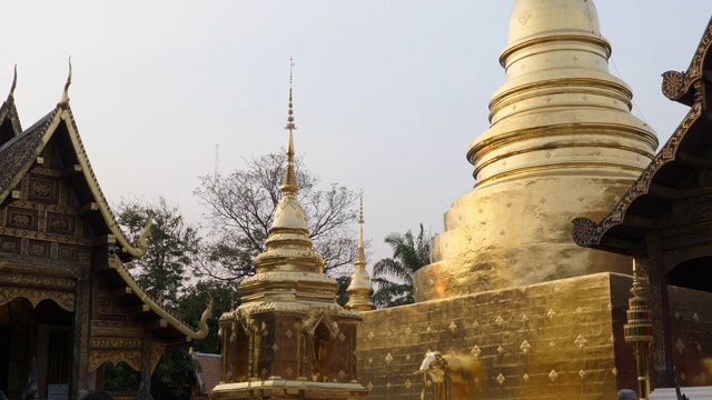 泰国清迈省的辛格寺视频素材