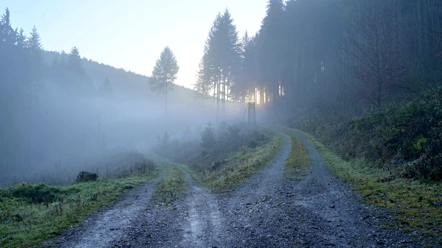 冬天的森林小径，Walldürn, Baden-Württemberg，德国视频素材