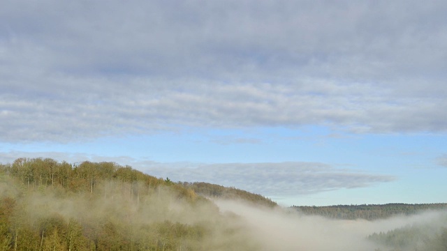 清晨有雾的森林景观，Walldürn, Baden-Württemberg，德国视频素材