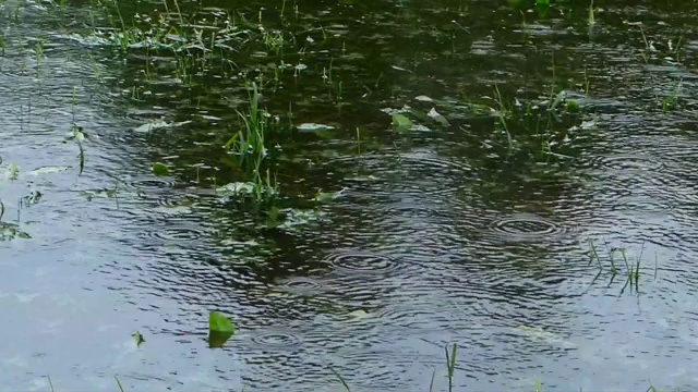 雨中淹地视频素材