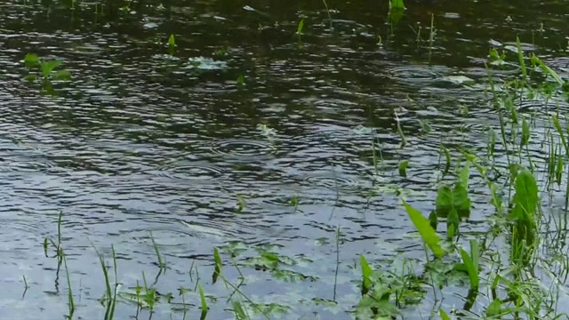 雨中淹地视频素材