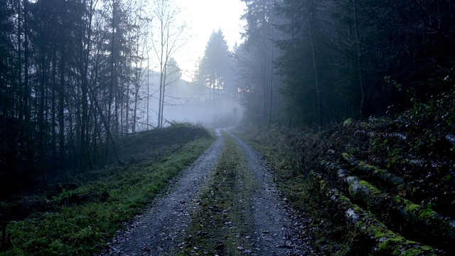 冬天的森林小路，Walldürn, Baden-Württemberg，德国视频素材