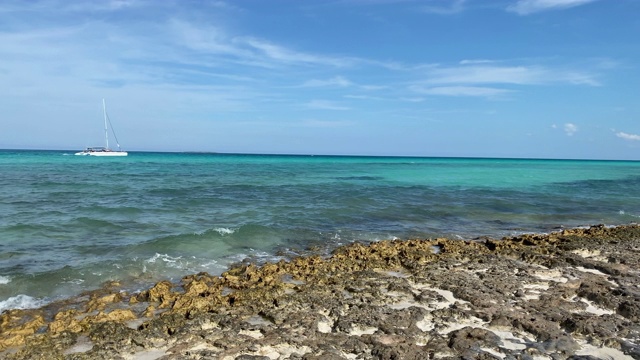 加勒比海的热带海滩视频素材