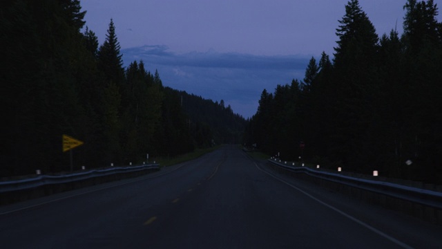 车辆的观点，沿着一个树木排列的道路在山区晚上视频素材