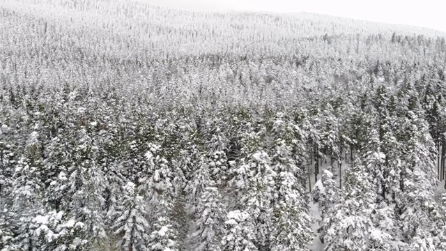 高清:冬季景观视频素材