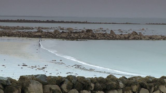 在海滩上躲避海浪的人视频素材