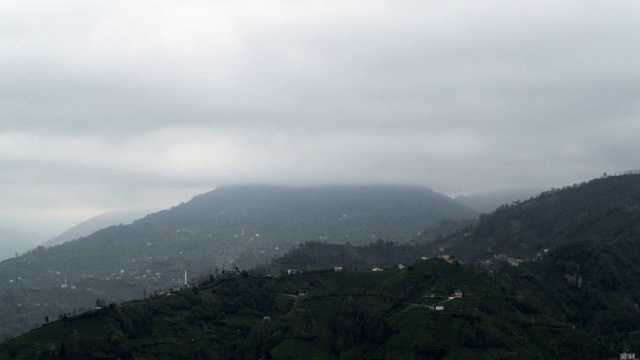 《茶树与雾山》视频素材