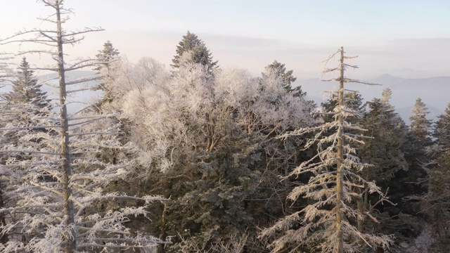 冬季雪山仙境视频素材