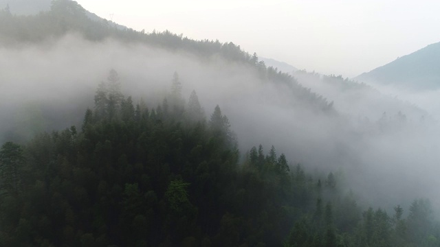 空中拍摄的雾在森林山坡桂林，中国视频素材