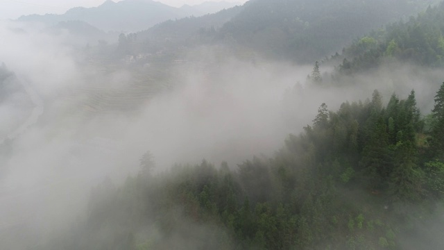 空中拍摄的雾在森林山坡桂林，中国视频素材