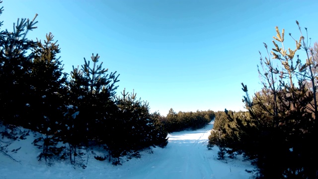 一个男人在山上骑雪上摩托。美丽的晨光视频素材