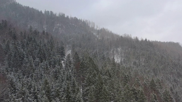 鸟瞰图的树覆盖高山山脊在冬天视频素材