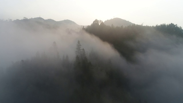 空中拍摄的雾在森林山坡桂林，中国视频素材