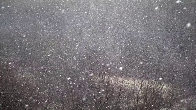 冬天有暴风雪。缓慢的运动。视频素材