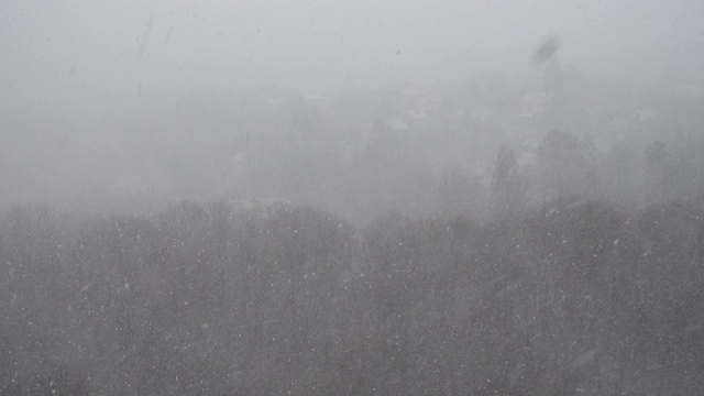 冬天有暴风雪。视频素材