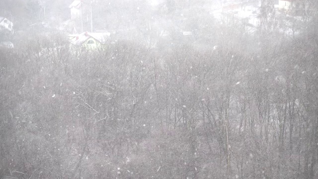 冬天有暴风雪。视频素材