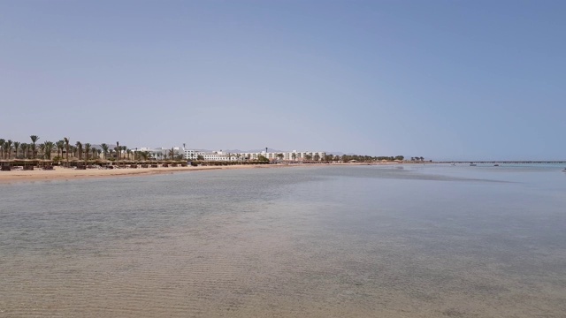 海岸在下午。海边的棕榈树旁有躺椅和冲浪板。视频素材