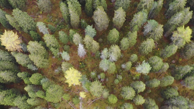 令人惊叹的风景米苏里纳湖与白云石山的背景，意大利。意大利东白云石旅游目的地全景自然景观。Dolomites的Misurina湖。意大利视频素材