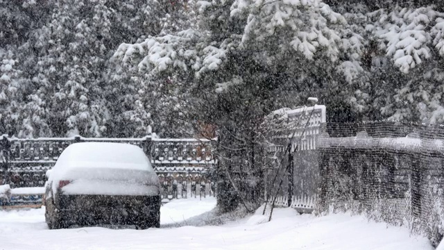 暴雪视频素材