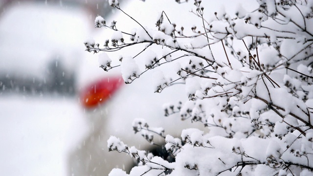 暴雪和汽车视频素材