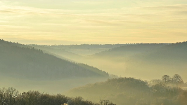 日出有雾的森林景观，Walldürn, Baden-Württemberg，德国视频素材