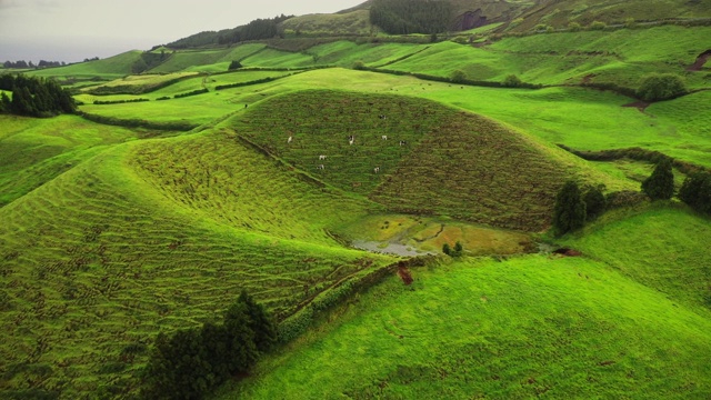 亚速尔群岛圣米格尔岛火山口视频素材