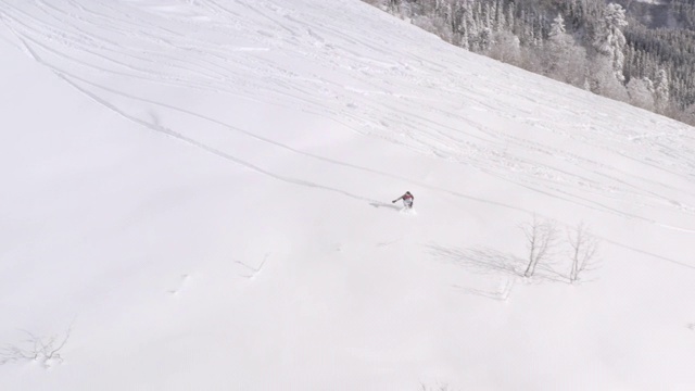 滑雪板上的免费骑在雪坡上的粉末新鲜冬季森林景观。鸟瞰图滑雪板上骑在下雪的冬季滑雪场下坡。高山冬季极限运动视频素材