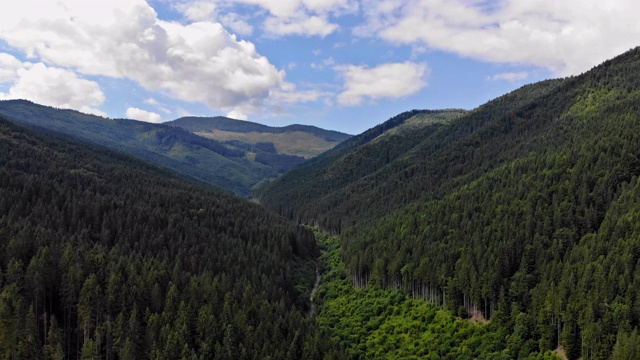 美丽雄伟的夏季全景飞过风景秀丽的山脉在喀尔巴阡乌克兰视频素材