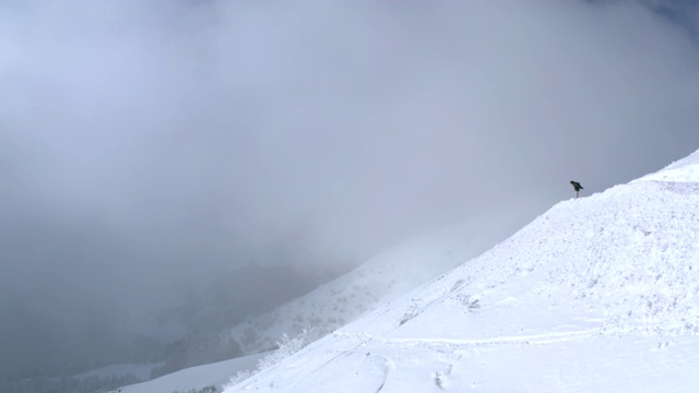 在冬季森林景观的粉末雪坡上，滑板手在雪板上免费滑行。鸟瞰图滑雪板上骑在下雪的冬季滑雪场下坡。高山冬季极限运动视频素材