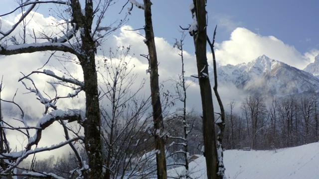 无人机跨度近，从树木边空中拍摄冬季山上覆盖的积雪和森林。令人惊叹的景观雪峰在多云的天空背景。白色的薄雾笼罩着山谷和林地视频素材