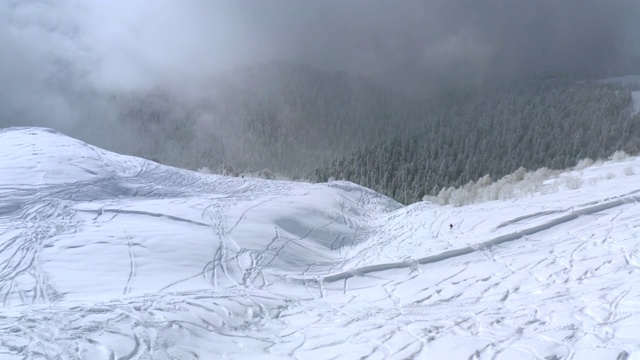 无人机视图滑雪板骑免费在雪山在冬季高山森林景观。鸟瞰图滑雪板移动的山坡在冬季高地。山地冬季运动活动视频素材